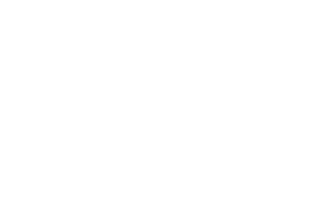 DH University